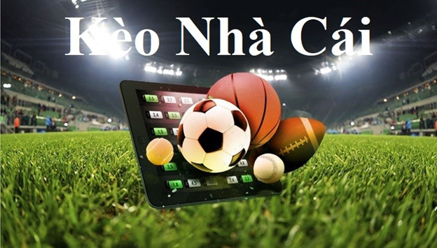Tải Rik TOP 6 game mobile mới ra mắt 2025 Tải Rik TOP 6 game mobile mới ra mắt 2025